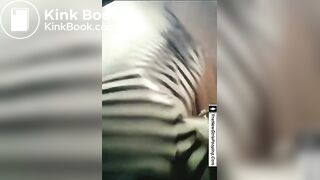 Girl pooping voyeur - brunette pooping & farting on pornera