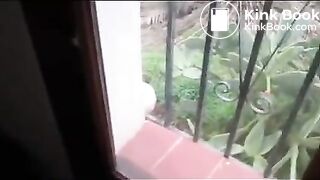 Voyeur ouydoor pooping - Cagando na rua flagra