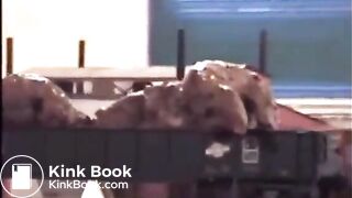 She poops on a toy train