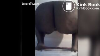 Ebony poop - video 10