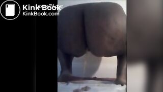 Ebony poop - video 10