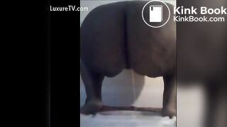 Ebony poop - video 10