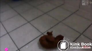 Brunette Amateur Slim Girl Dumping