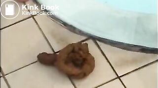 Anna ... shitting by the pool