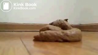 some doo doo on the floor maybe livingroom or kitchen dont know