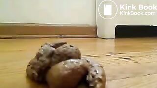 some doo doo on the floor maybe livingroom or kitchen dont know