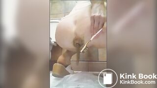 Awesome poop compilation