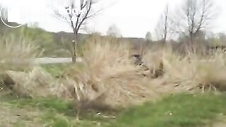 Amateur bbw poops outside