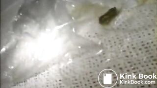 Shit in mouth - video 5