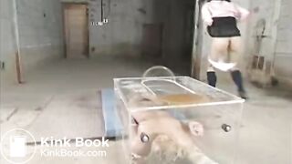 Random beauties spraying their liquid shit on a young slave woman