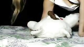 Pooping on the Teddy Bear