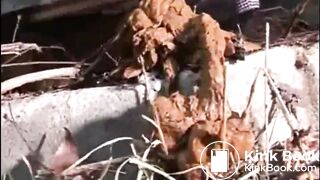 sloppy shit - video 2