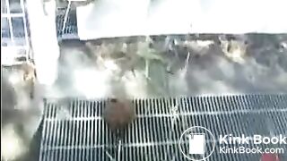 Shitting in her panties in front of a stranger