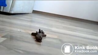 sexy woman shits during masturbation