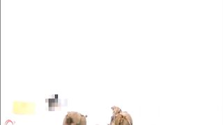 Beautiful girl unloads nice turds