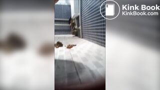 AMATEUR - Hot Chinese Girl Eats Her Shit! 5