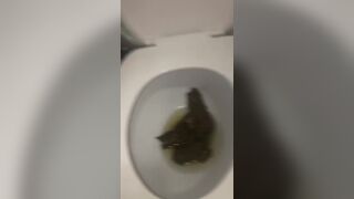 My friend takes huge shits