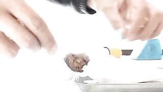 F3-03 Convince girls to shit