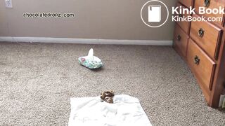 Ebony Pooping combo