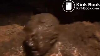 manure bath