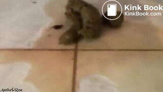 Beautiful shit and piss