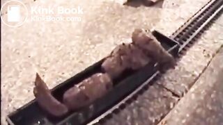 Shit on a train