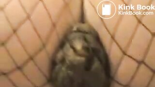 Pooping in Fishnet Tights