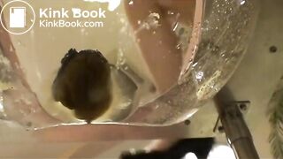 Cute girl is unhappy with the toilet