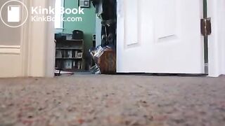 GOOD MORNING HALL DUMP!!!