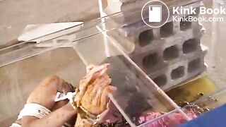 Clothed women pissing and shitting on a naked bounded girl with a gag in her mouth