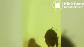 Standing poop - video 2