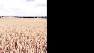 Flashing in the fields, Lana HuckabyBabestation, Summer_Fox Milf Latvian