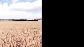 Flashing in the fields, Lana HuckabyBabestation, Summer_Fox Milf Latvian