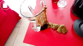 chubby girl shits and shake