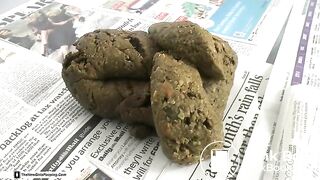 What a wonderful dinner