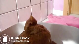 A Shitty Compilation