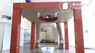 Home made toilet
