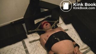 Mistress using a slave