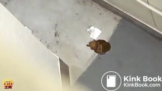 Compilation of beautiful women pooping in public