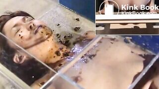 Punishment for toilet slave who tryed to disobey his mistress