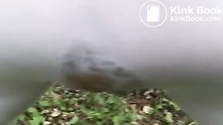 Another pair of white leggings becomes the victim