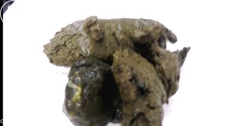 Big Booty & Huge Turd