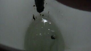 My 2 sisters shitting in our toilet