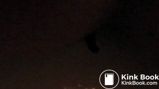 My 2 sisters shitting in our toilet