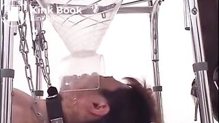 feeding her male slave with fresh shit