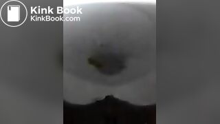 Ebony Toilet Shits 9