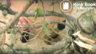 Shitting at the beach - video 2