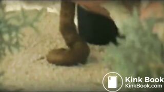 Shitting at the beach - video 2