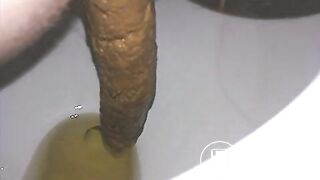 Long turd from his wife