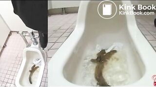 This is what you call a snake turd